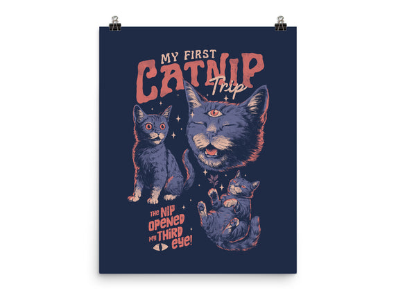 My First Catnip Trip