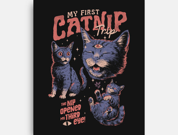 My First Catnip Trip