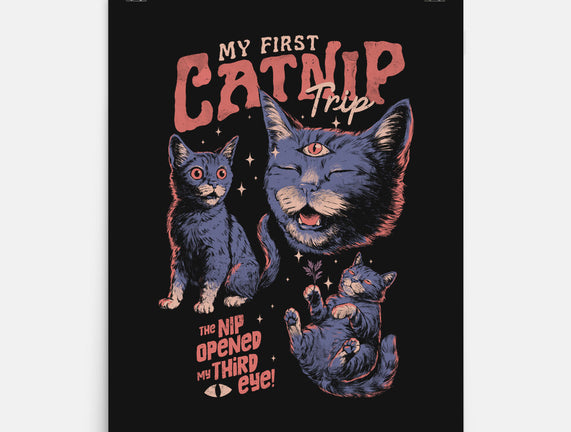 My First Catnip Trip