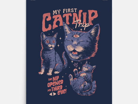 My First Catnip Trip
