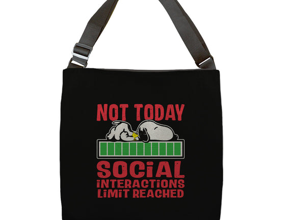 Social Interactions