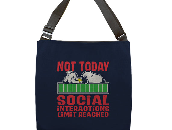 Social Interactions