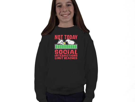 Social Interactions