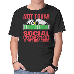 Social Interactions