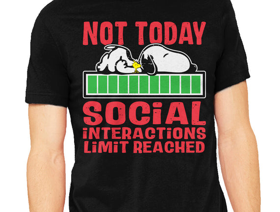 Social Interactions