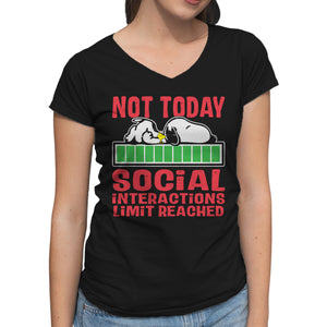 Social Interactions