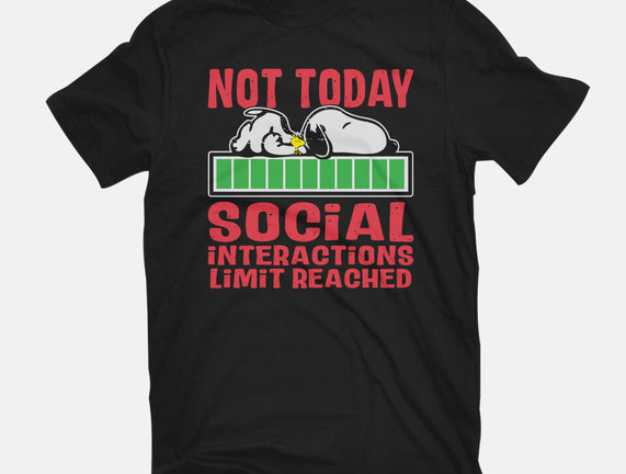 Social Interactions
