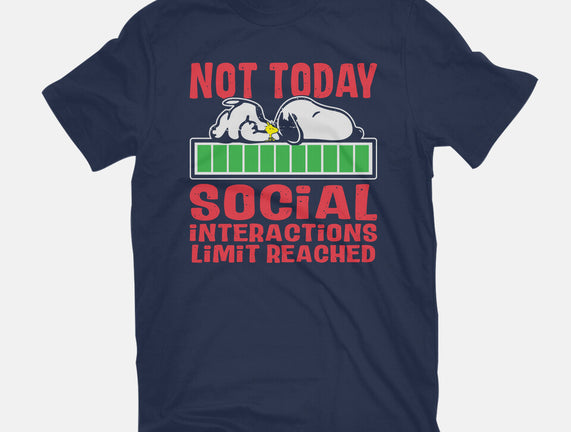 Social Interactions