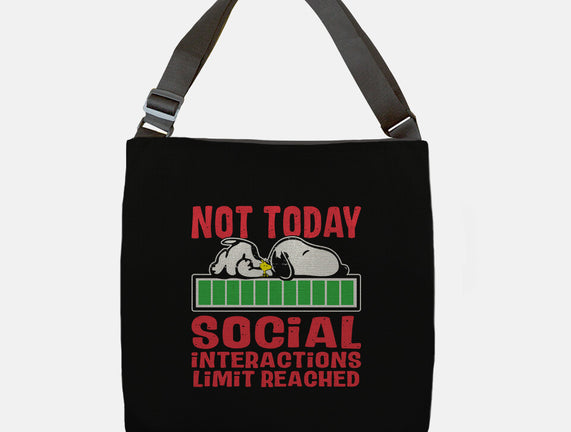 Social Interactions