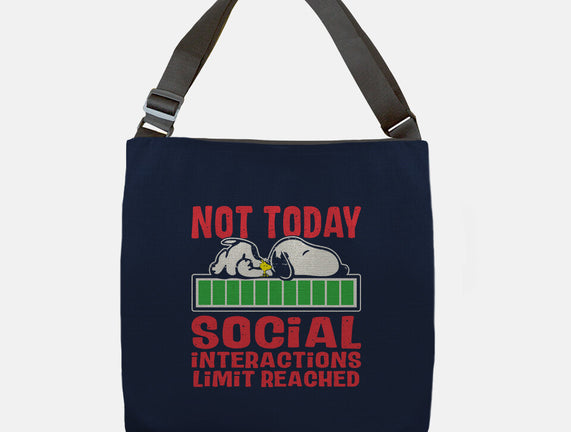Social Interactions
