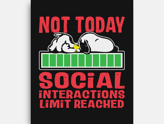 Social Interactions