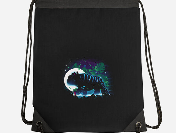 Derpy Night Landscape