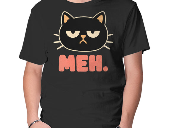 Meh Cat