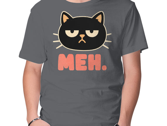 Meh Cat
