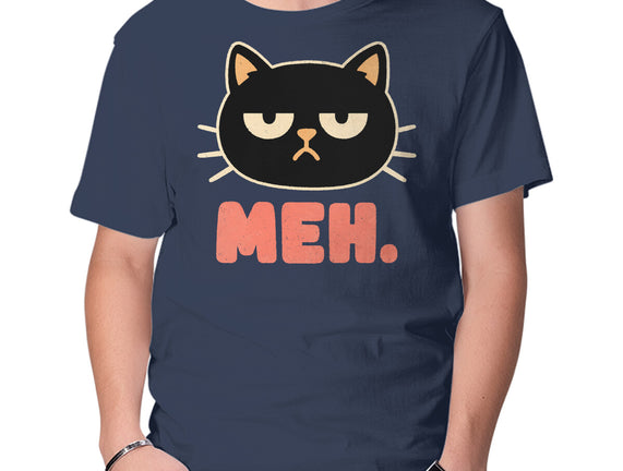 Meh Cat