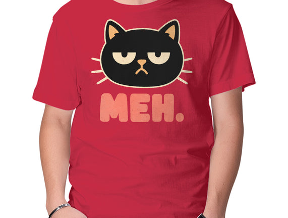 Meh Cat