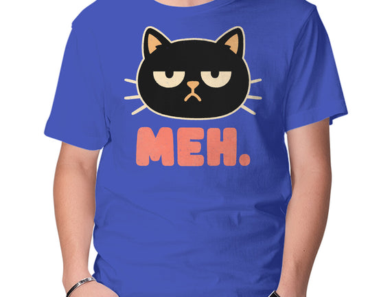Meh Cat