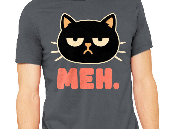 Meh Cat
