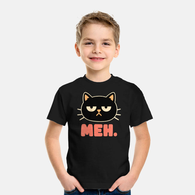 Meh Cat-Youth-Basic-Tee-fanfreak1