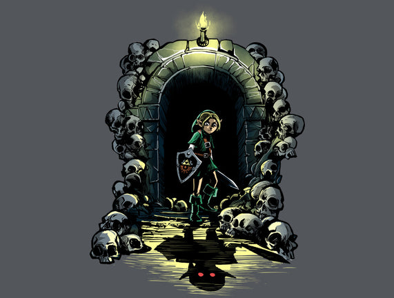 Link In The Dungeons
