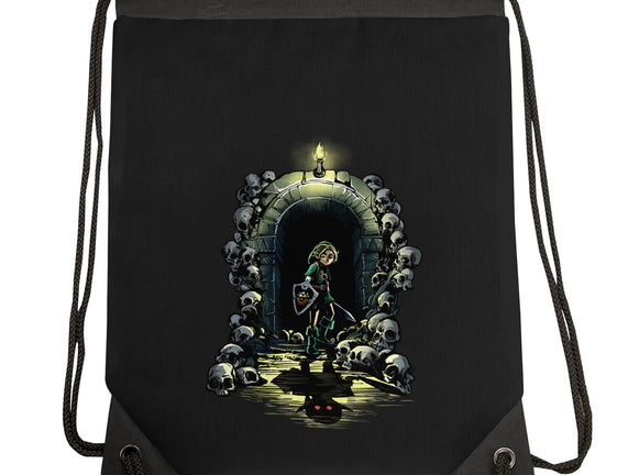 Link In The Dungeons