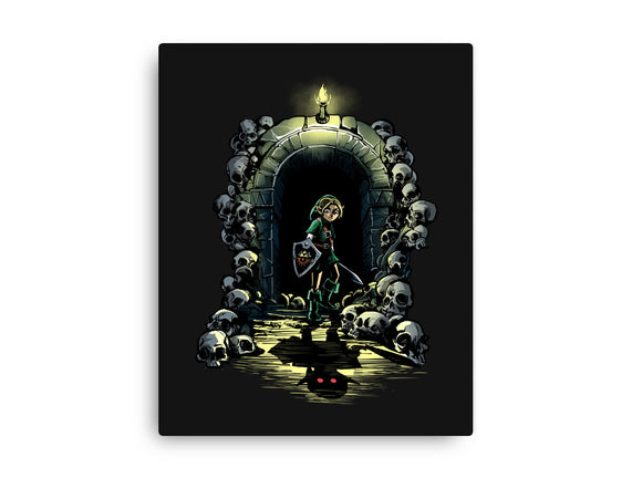 Link In The Dungeons