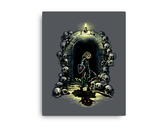 Link In The Dungeons