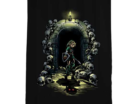 Link In The Dungeons