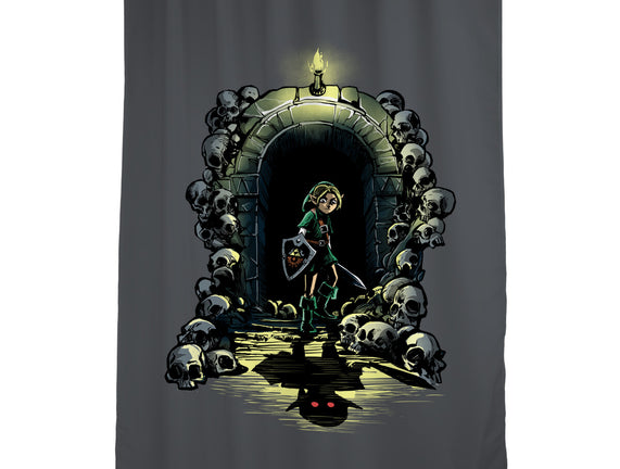 Link In The Dungeons