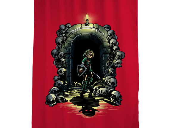 Link In The Dungeons