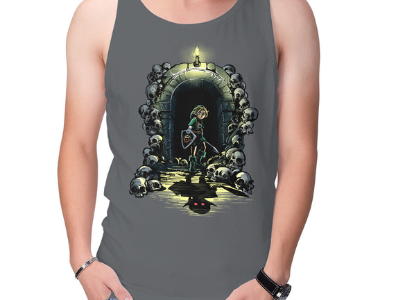 Link In The Dungeons