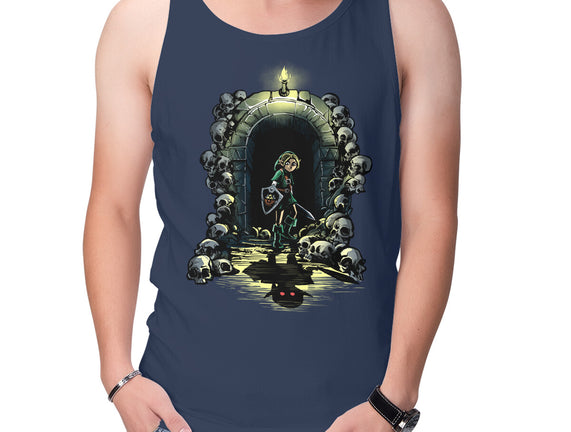 Link In The Dungeons