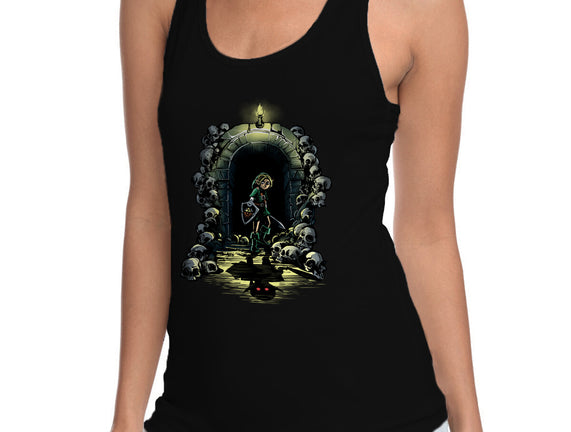 Link In The Dungeons