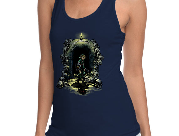 Link In The Dungeons