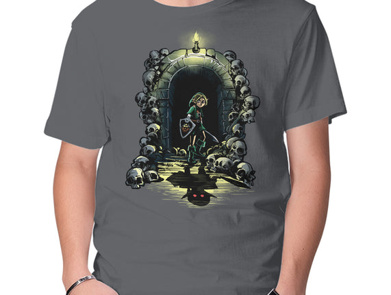 Link In The Dungeons