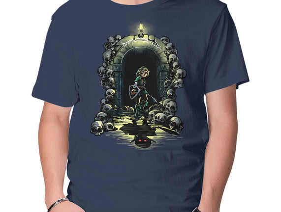 Link In The Dungeons