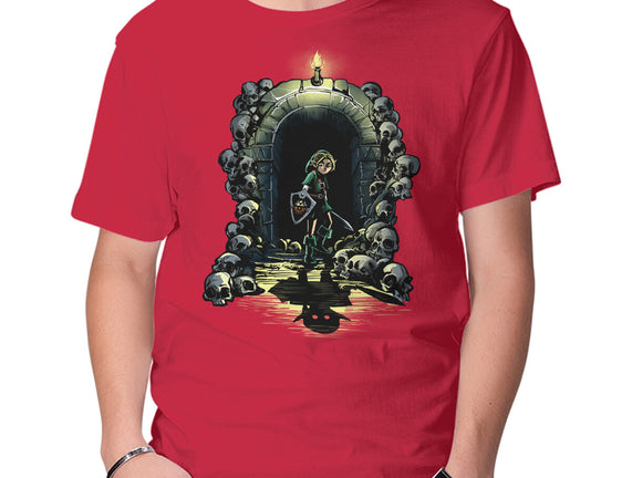 Link In The Dungeons