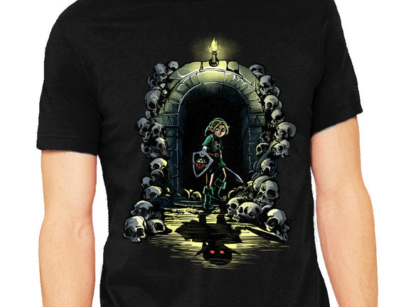 Link In The Dungeons