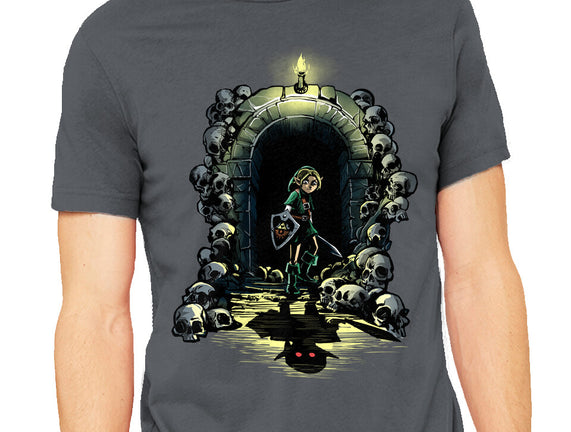 Link In The Dungeons