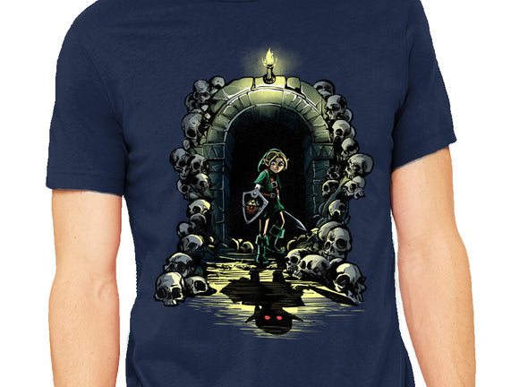 Link In The Dungeons