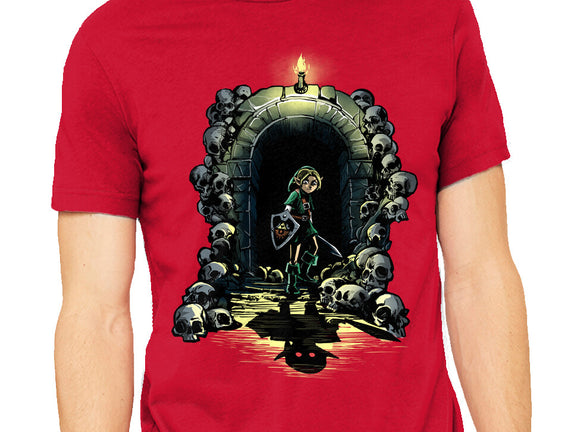 Link In The Dungeons