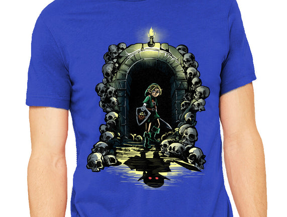 Link In The Dungeons