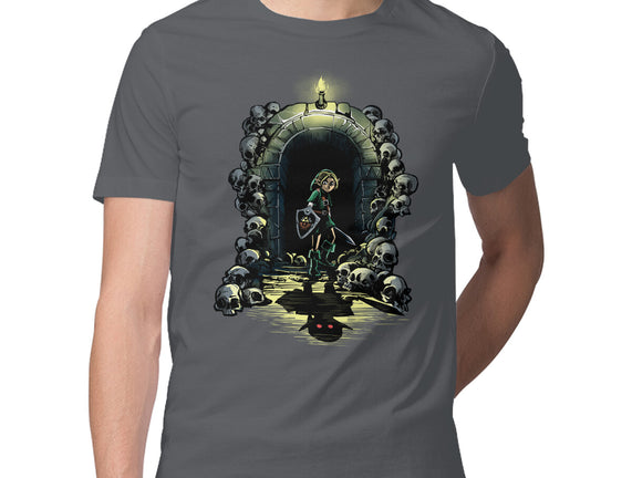 Link In The Dungeons