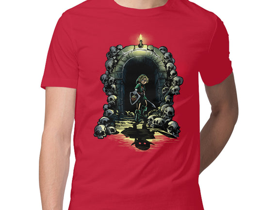 Link In The Dungeons