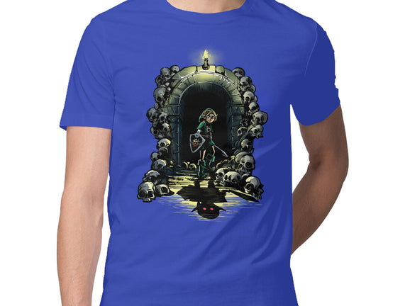 Link In The Dungeons