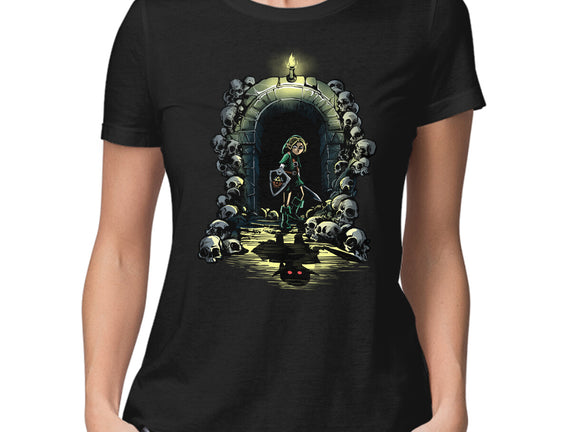 Link In The Dungeons