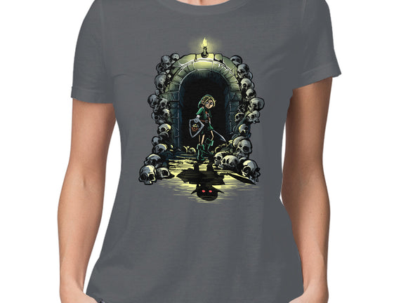 Link In The Dungeons