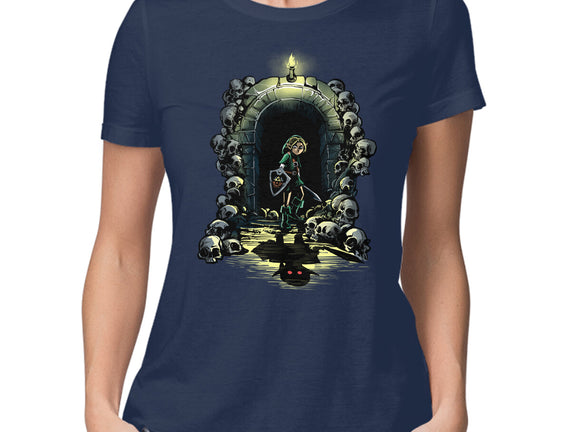 Link In The Dungeons