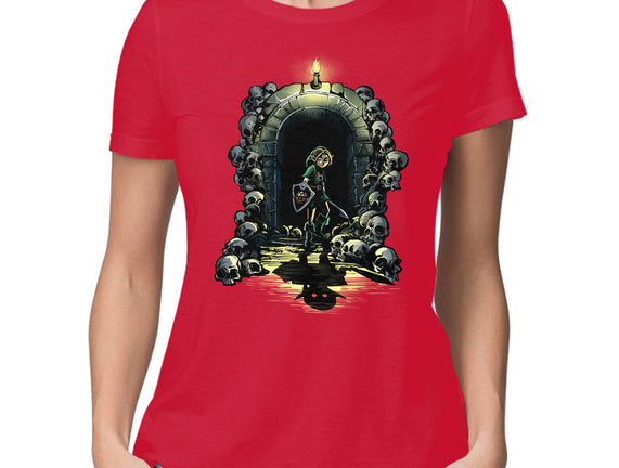 Link In The Dungeons