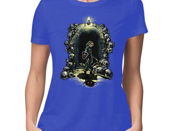 Link In The Dungeons